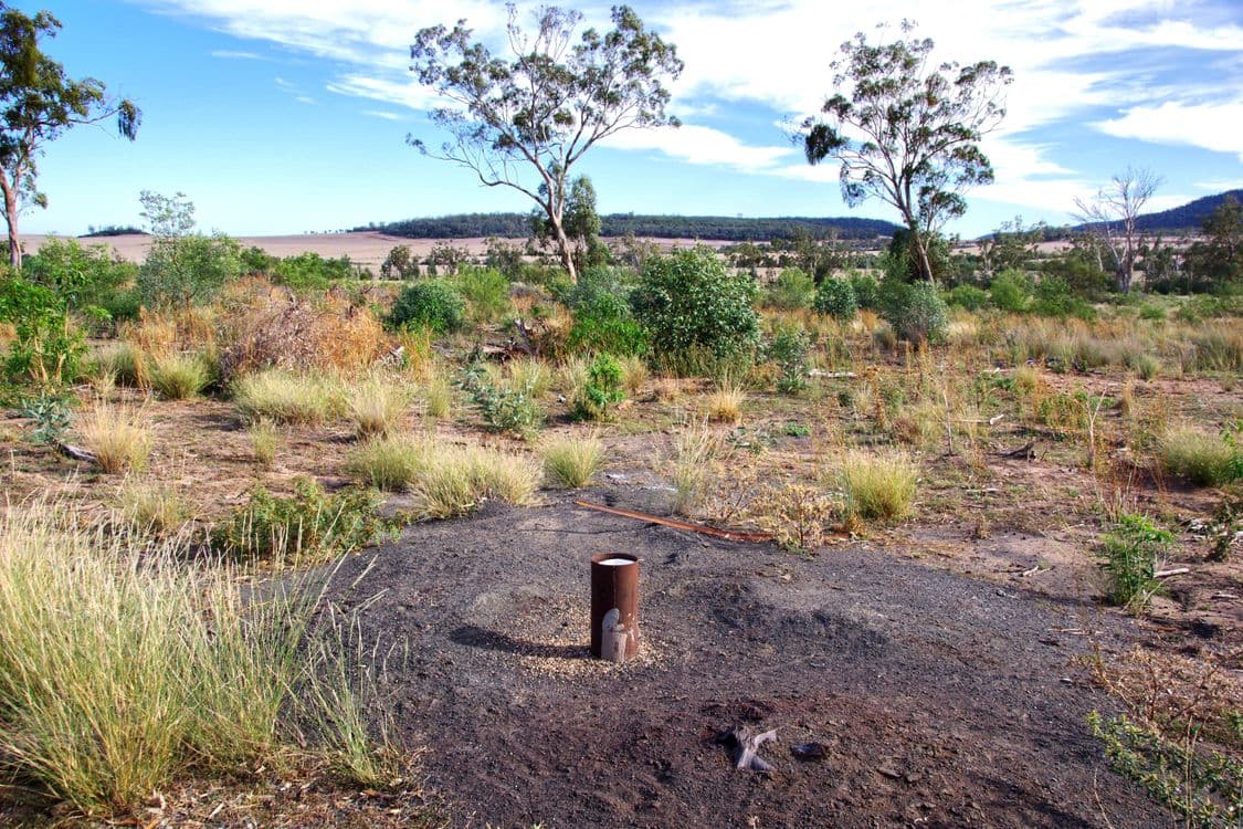 2381. Killarney Gap Road, NARRABRI, NSW 2390, Narrabri - Thumbnail 6