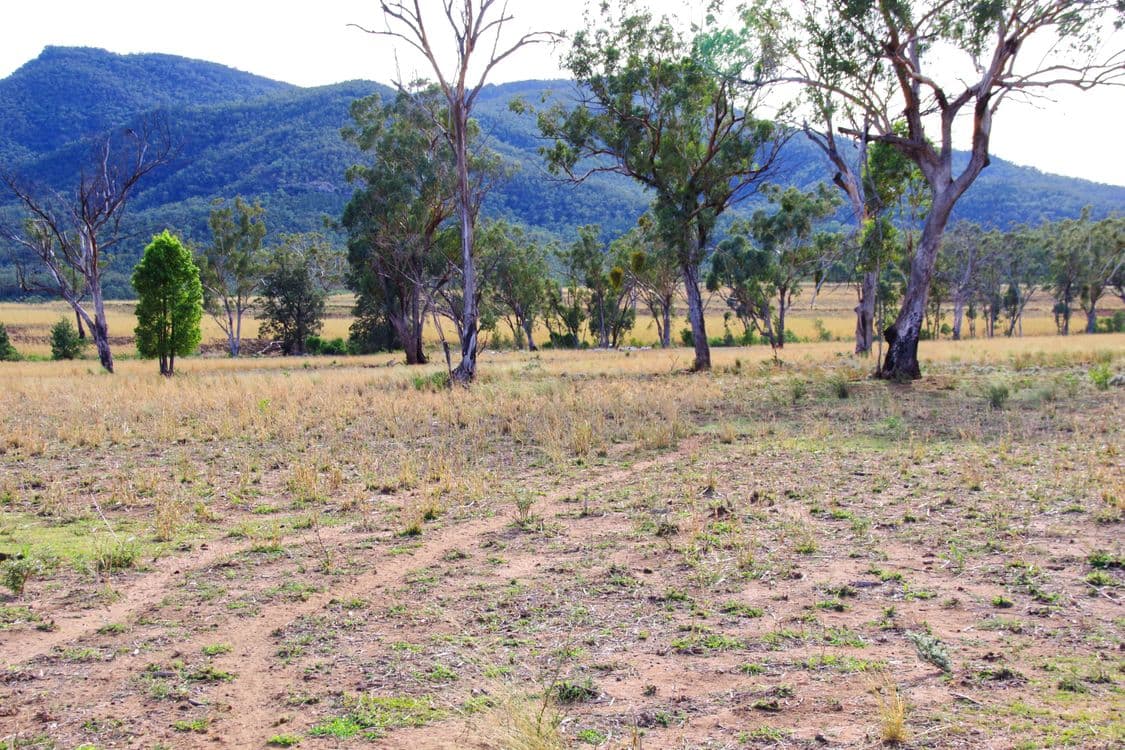 2381. Killarney Gap Road, NARRABRI, NSW 2390, Narrabri - Thumbnail 7