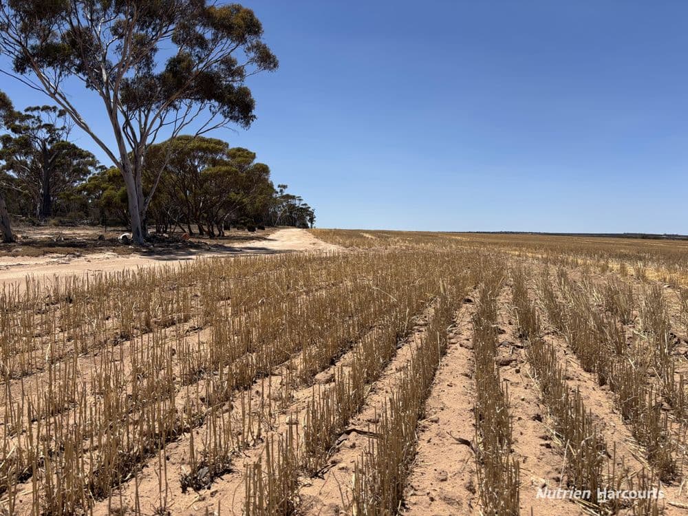 . part 'Lumari', NORTH BODALLIN, WA 6424, North Bodallin - Thumbnail 2