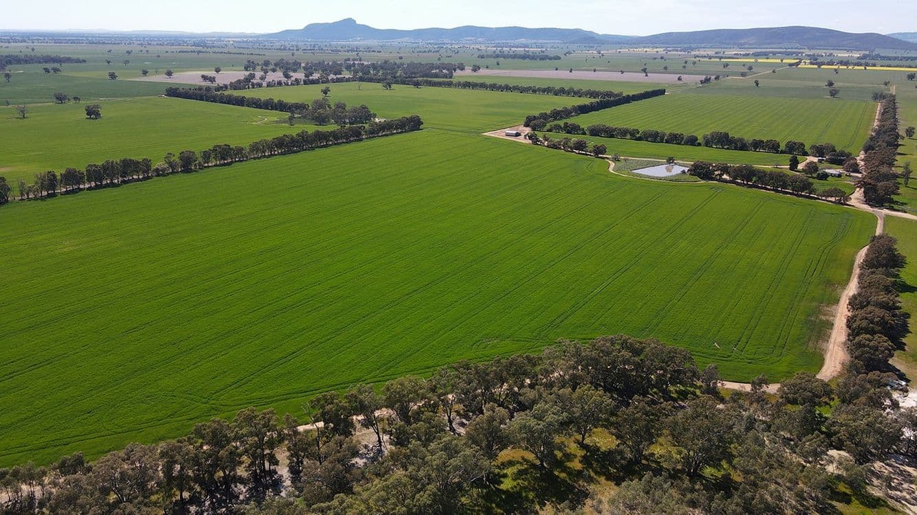 788 Mittagong Yerong Creek Road, YERONG CREEK, NSW 2642, Yerong Creek - Image 1