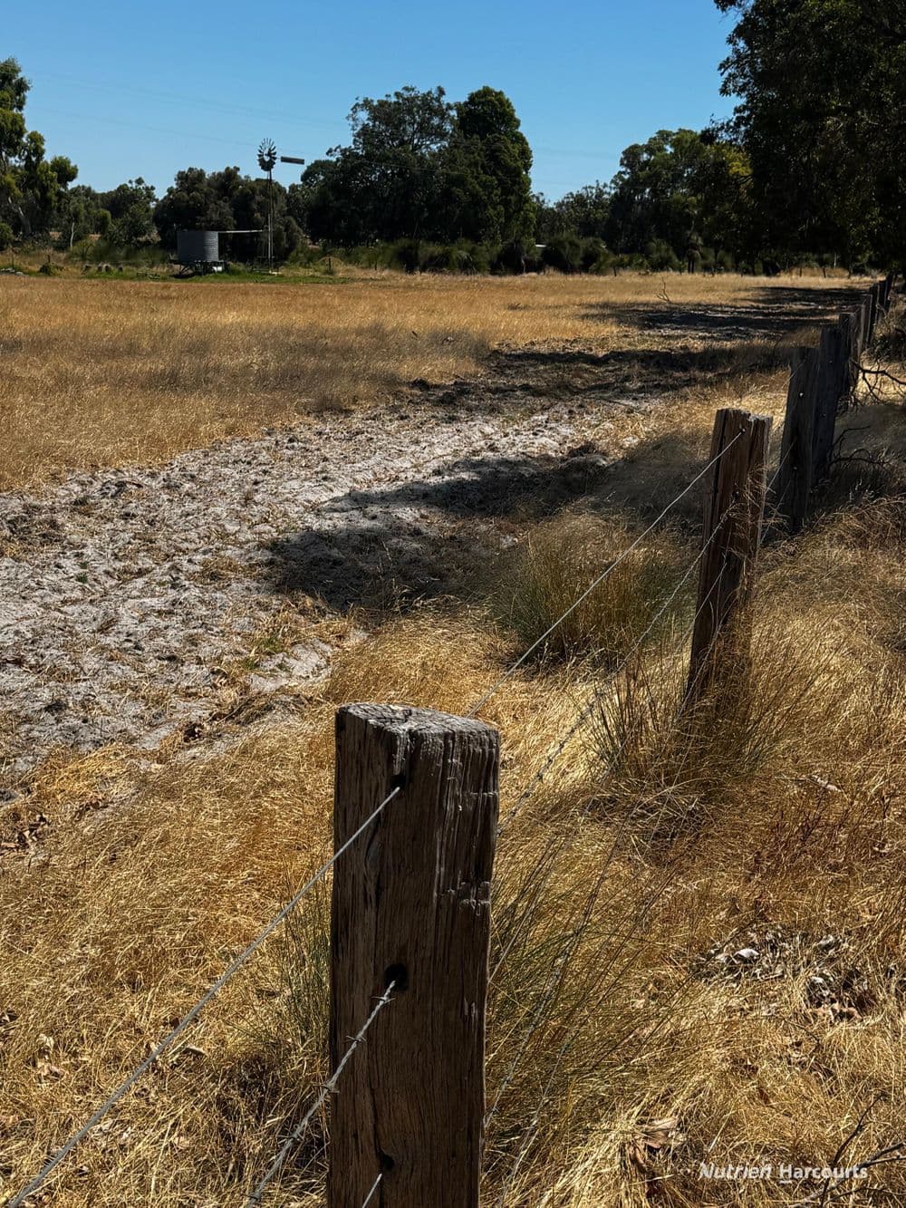 Lot 204 Fisherman's Road, COOLUP, WA 6214, Coolup - Thumbnail 4