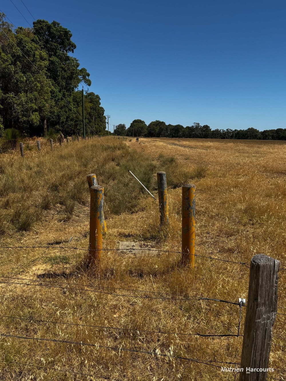 Lot 204 Fisherman's Road, COOLUP, WA 6214, Coolup - Thumbnail 5