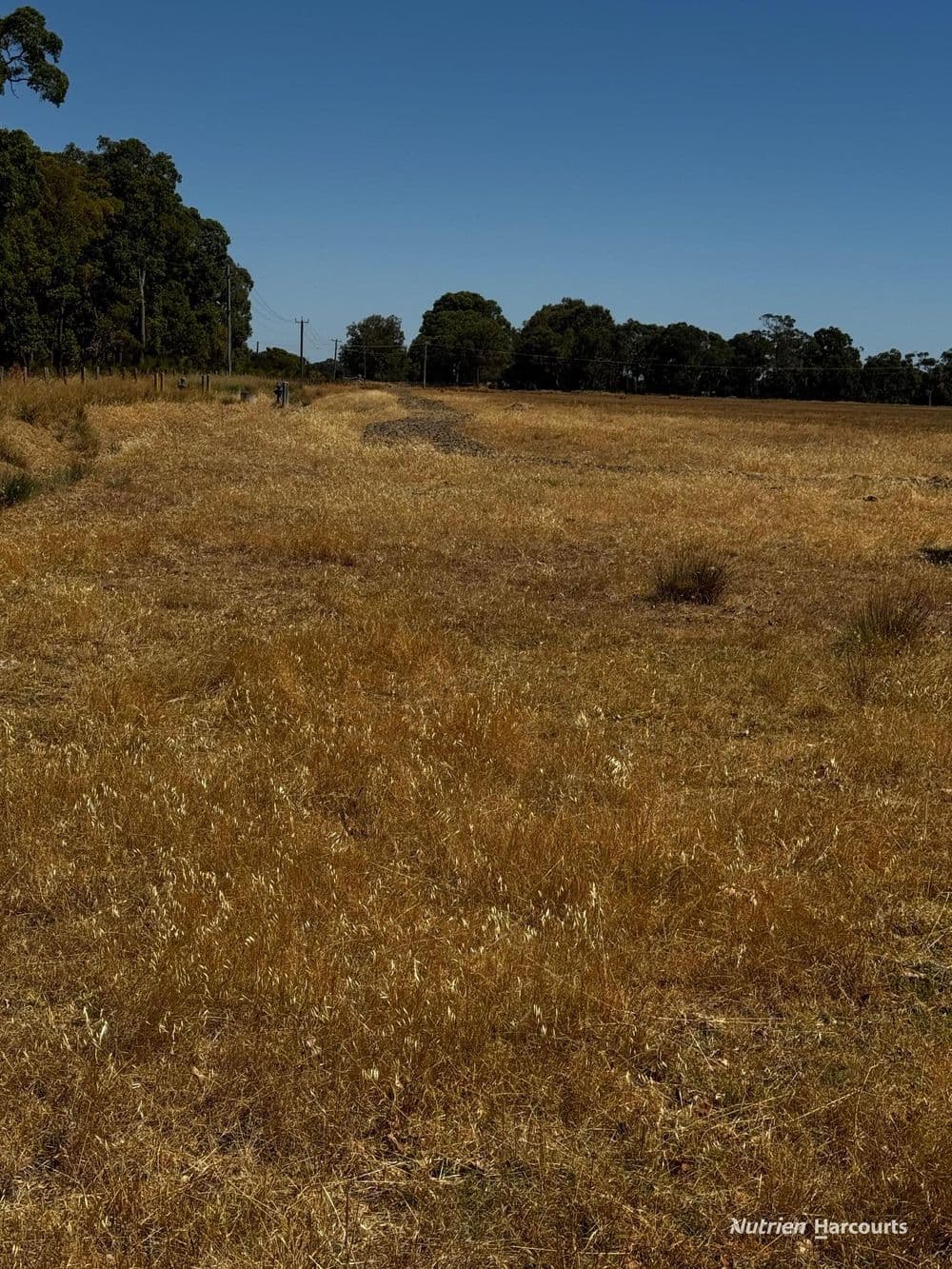Lot 204 Fisherman's Road, COOLUP, WA 6214, Coolup - Thumbnail 6