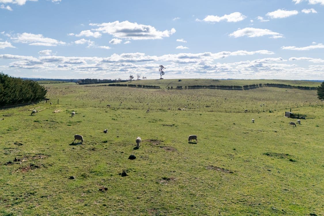 239 McAlister Road, LAGGAN, NSW 2583, Laggan - Thumbnail 7