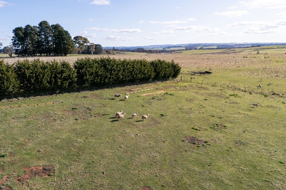239 McAlister Road, LAGGAN, NSW 2583, Laggan - Thumbnail 8