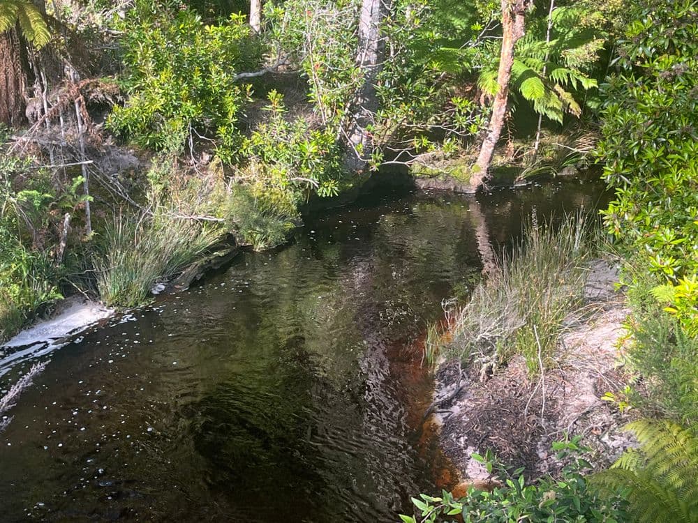 . Wilsons Road, GRANVILLE HARBOUR, TAS 7469, Granville Harbour - Thumbnail 2