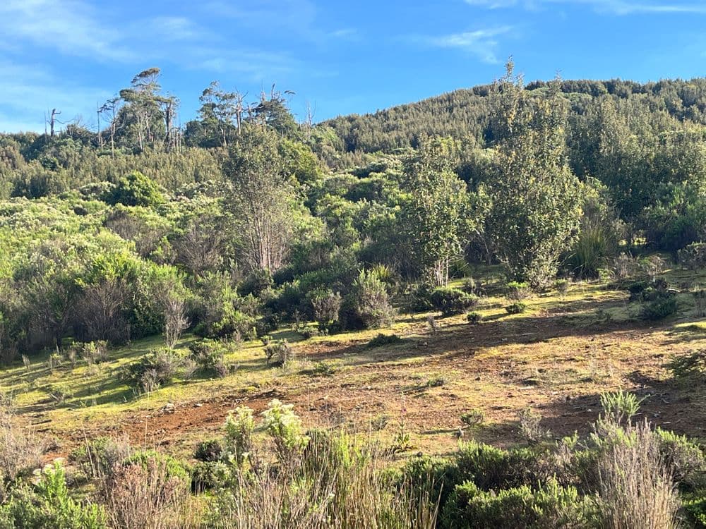 . Wilsons Road, GRANVILLE HARBOUR, TAS 7469, Granville Harbour - Thumbnail 3