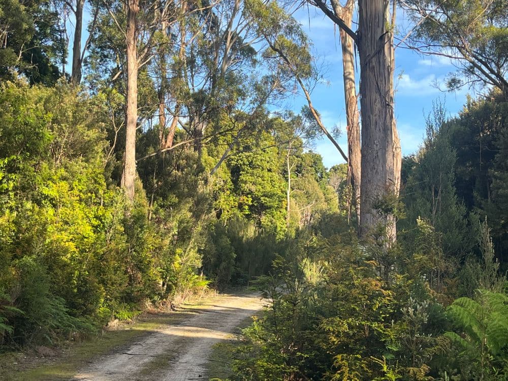 . Wilsons Road, GRANVILLE HARBOUR, TAS 7469, Granville Harbour - Thumbnail 4
