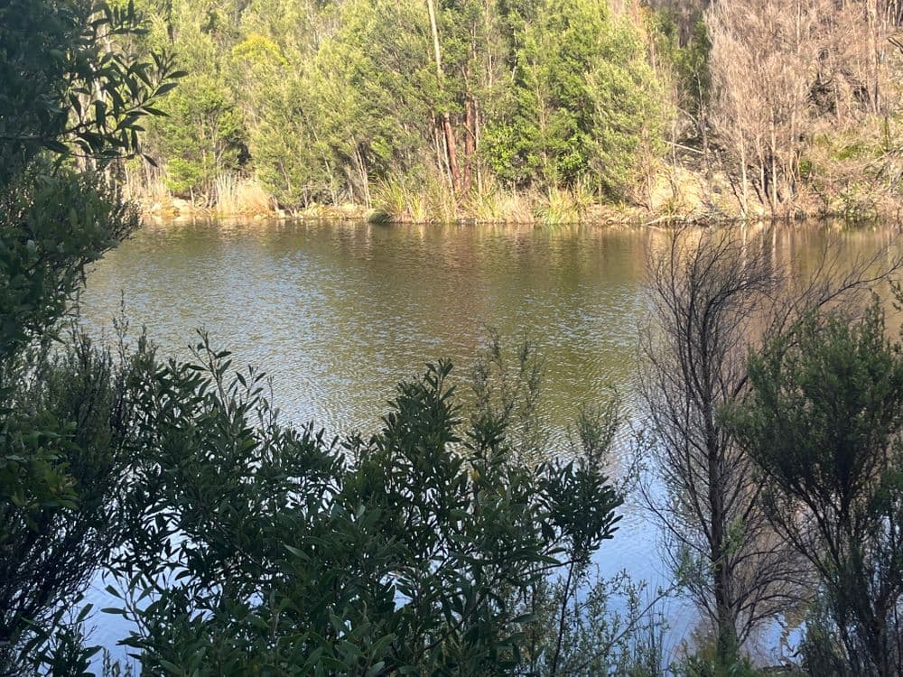 . Wilsons Road, GRANVILLE HARBOUR, TAS 7469, Granville Harbour - Thumbnail 8