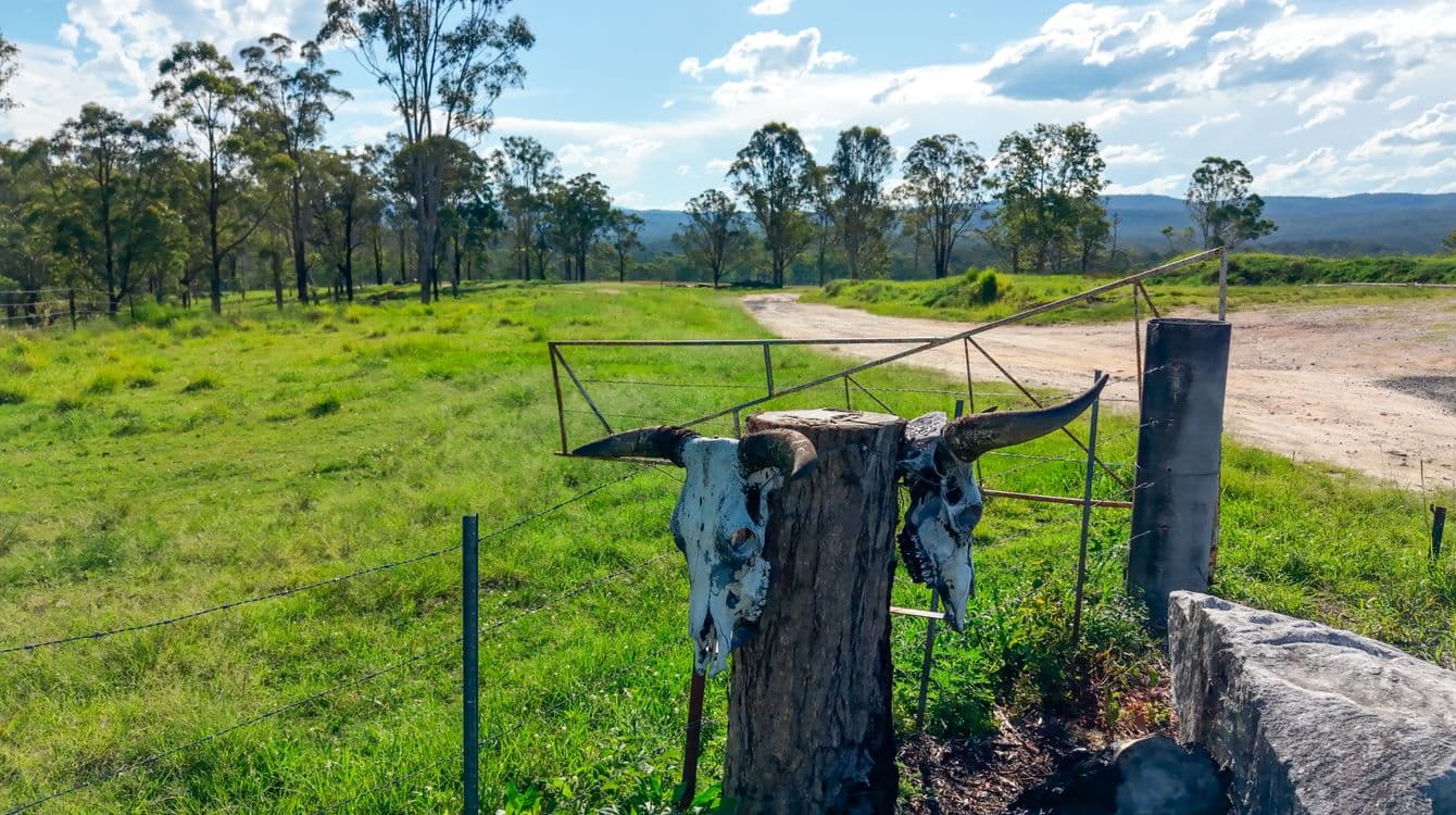 119 Paddys Flat Road, TABULAM, NSW 2469, Tabulam - Thumbnail 2