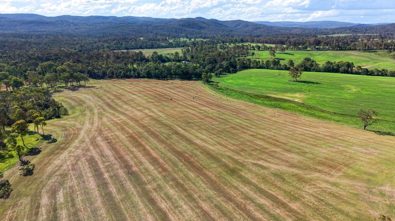 119 Paddys Flat Road, TABULAM, NSW 2469, Tabulam - Thumbnail 5