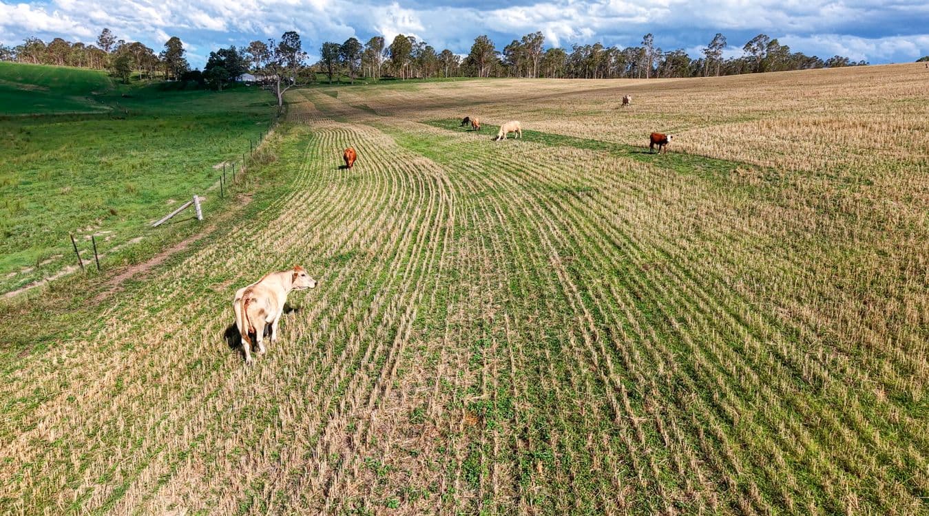119 Paddys Flat Road, TABULAM, NSW 2469, Tabulam - Thumbnail 6