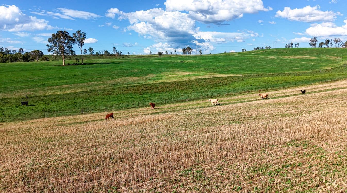 119 Paddys Flat Road, TABULAM, NSW 2469, Tabulam - Thumbnail 7