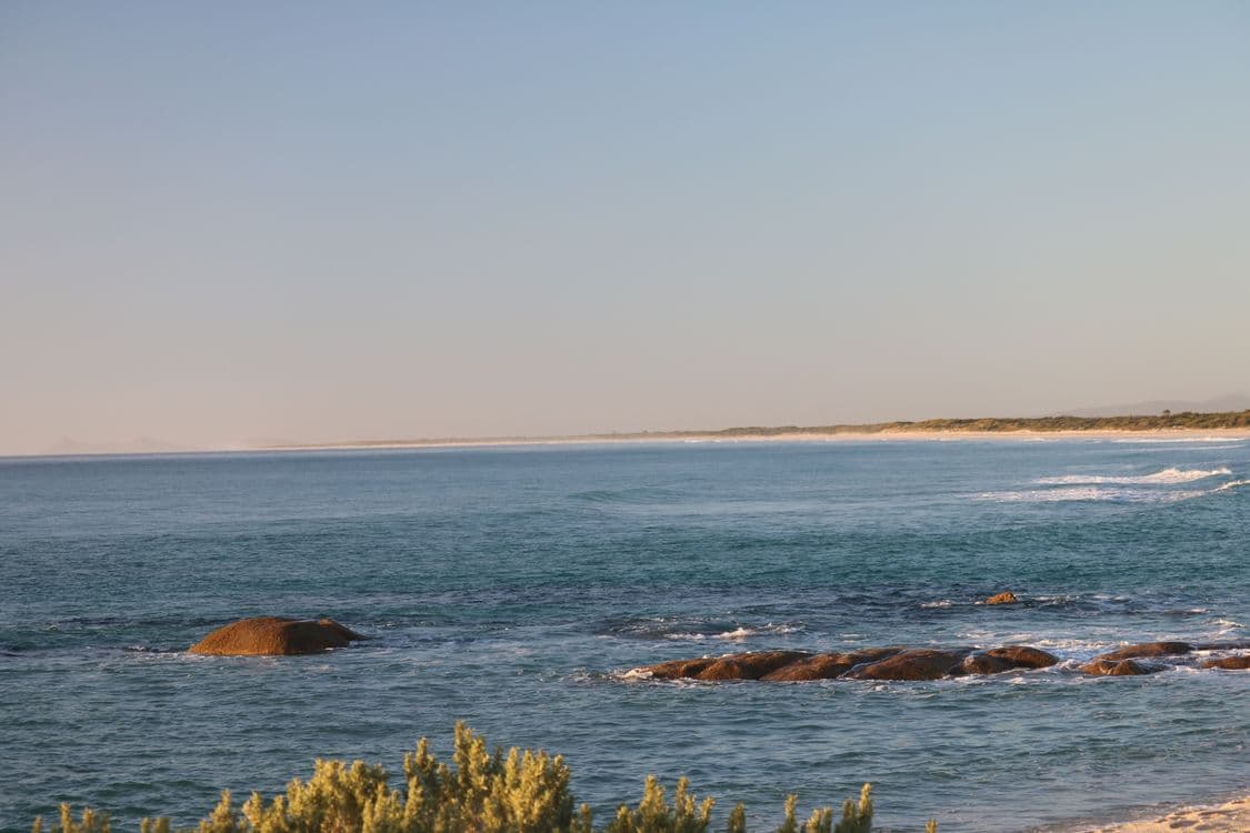 Lot 1 North East River Road, PALANA, TAS 7255, Palana - Image 1
