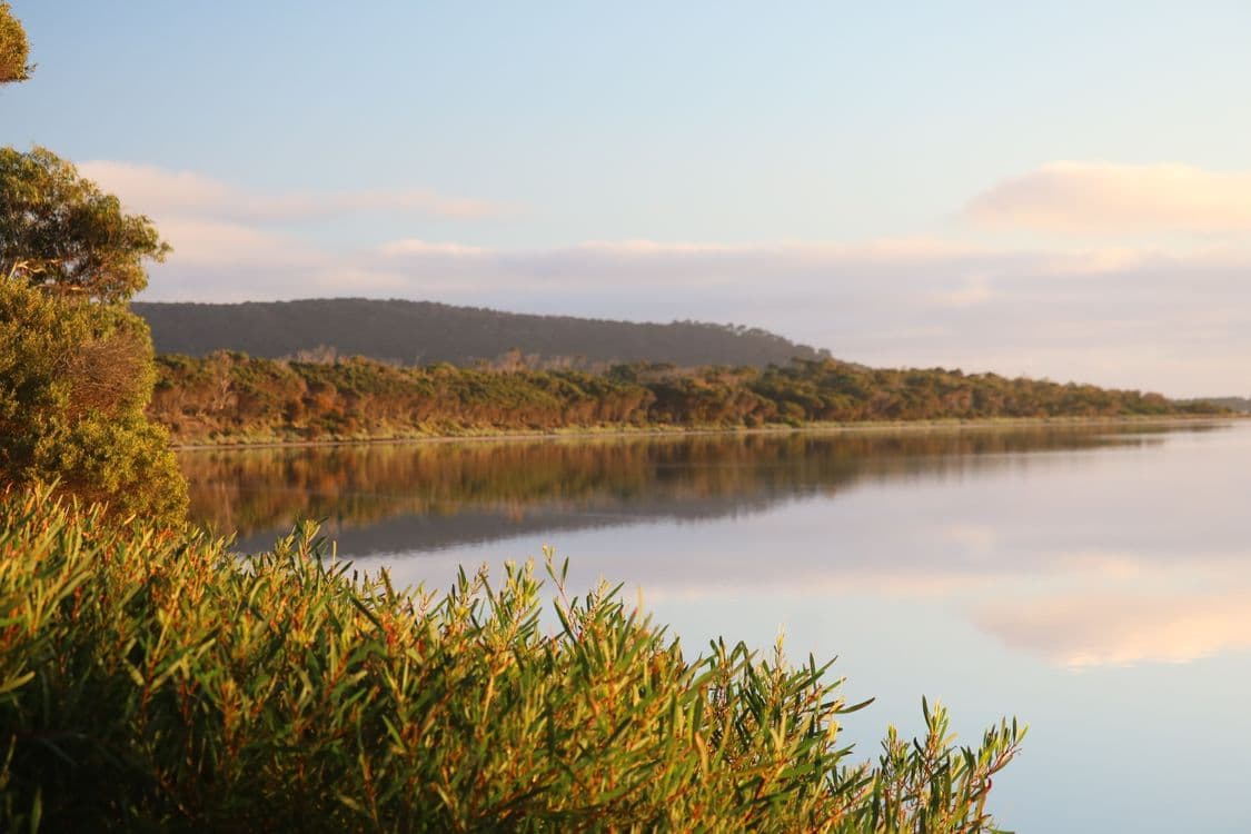 Lot 1 North East River Road, PALANA, TAS 7255, Palana - Thumbnail 2