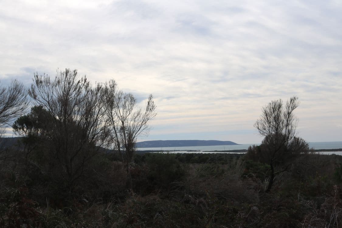 Lot 1 North East River Road, PALANA, TAS 7255, Palana - Thumbnail 4