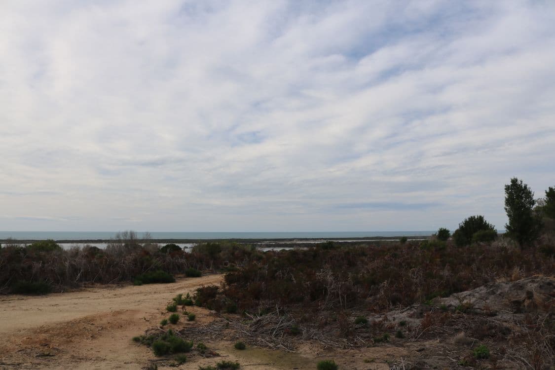 Lot 1 North East River Road, PALANA, TAS 7255, Palana - Thumbnail 5