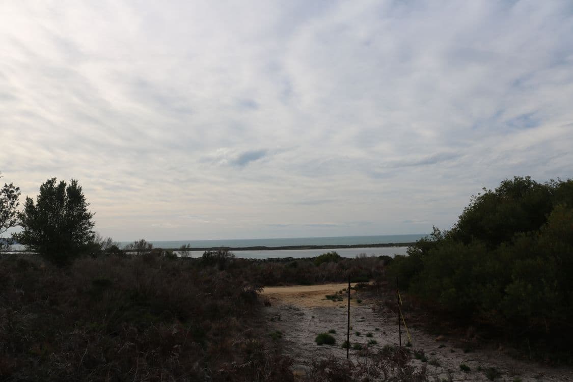 Lot 1 North East River Road, PALANA, TAS 7255, Palana - Thumbnail 6