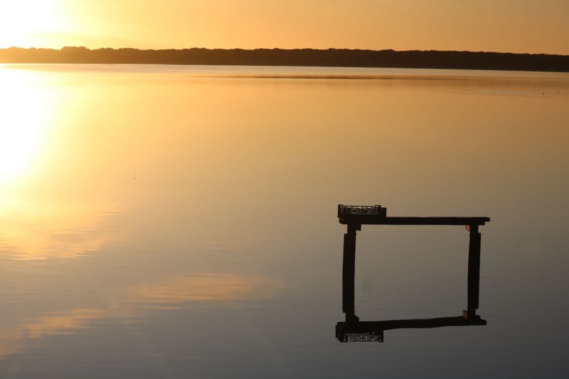 Lot 1 North East River Road, PALANA, TAS 7255, Palana - Thumbnail 7