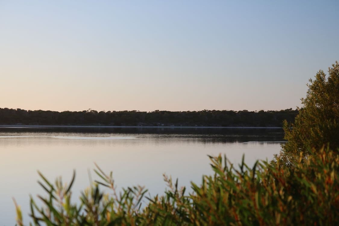 Lot 1 North East River Road, PALANA, TAS 7255, Palana - Thumbnail 8