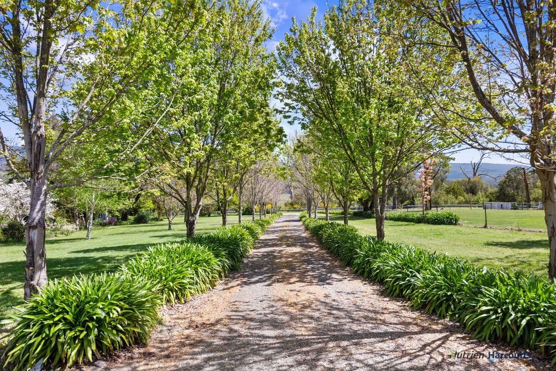 2692 Maroondah Highway, TAGGERTY, VIC 3714, Taggerty - Thumbnail 4