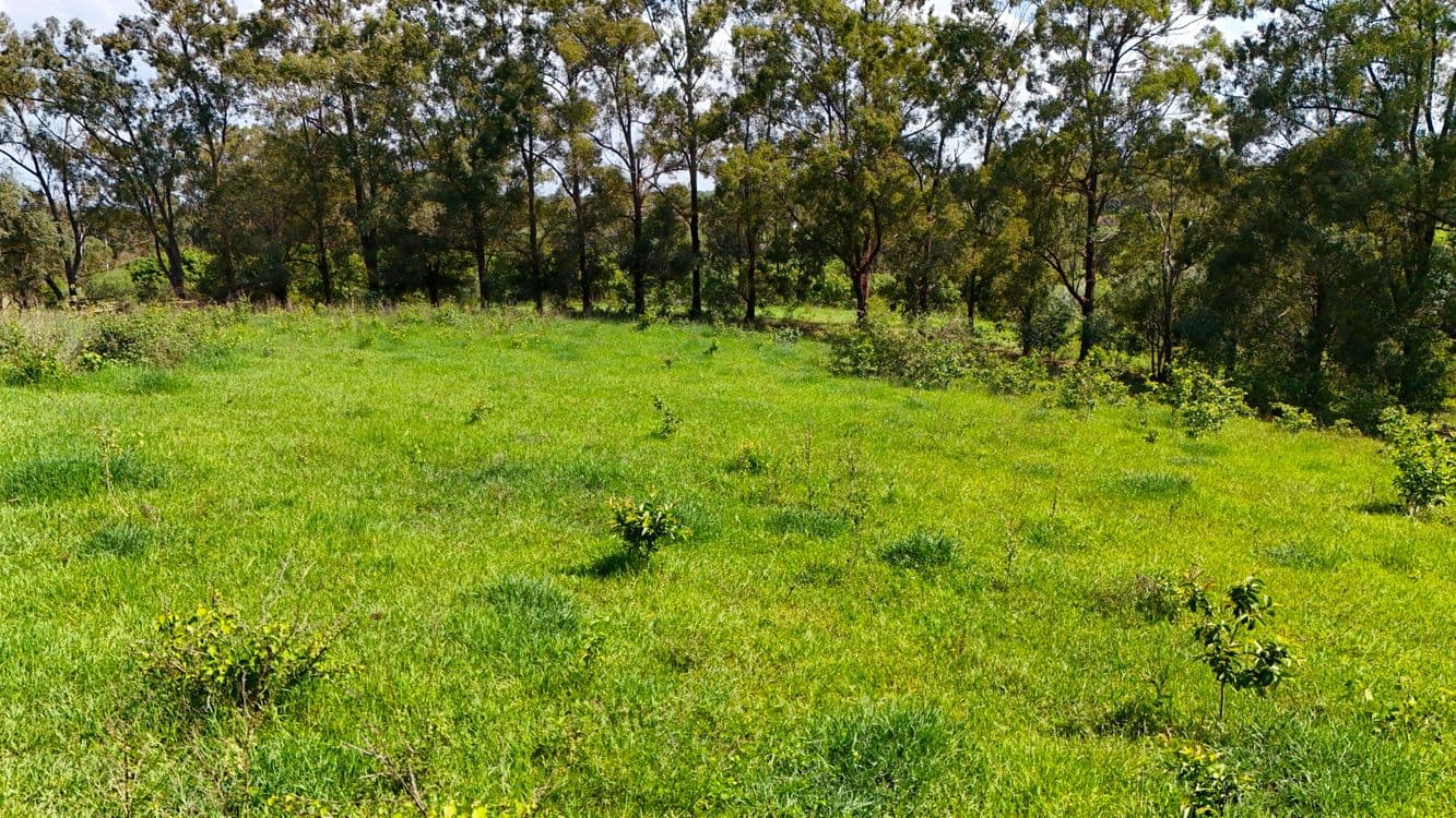 12 GOODWOOD ROAD, CHILDERS, QLD 4660, Doolbi - Thumbnail 3