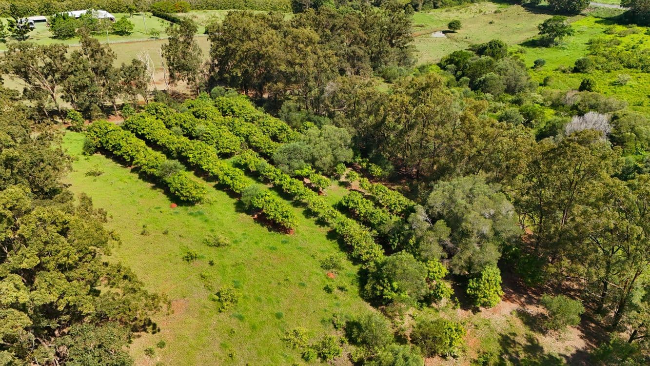 12 GOODWOOD ROAD, CHILDERS, QLD 4660, Doolbi - Thumbnail 4