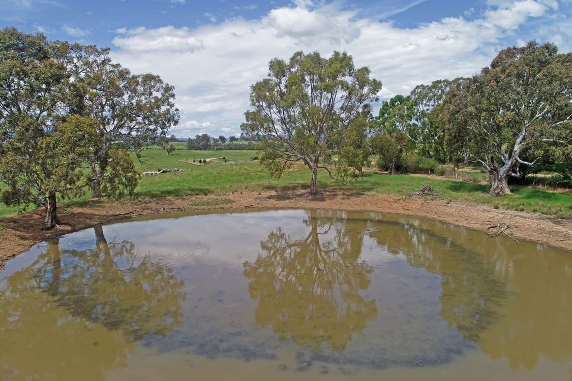 3 Carlisle Hill Road, MANSFIELD, VIC 3722, Mansfield - Thumbnail 5