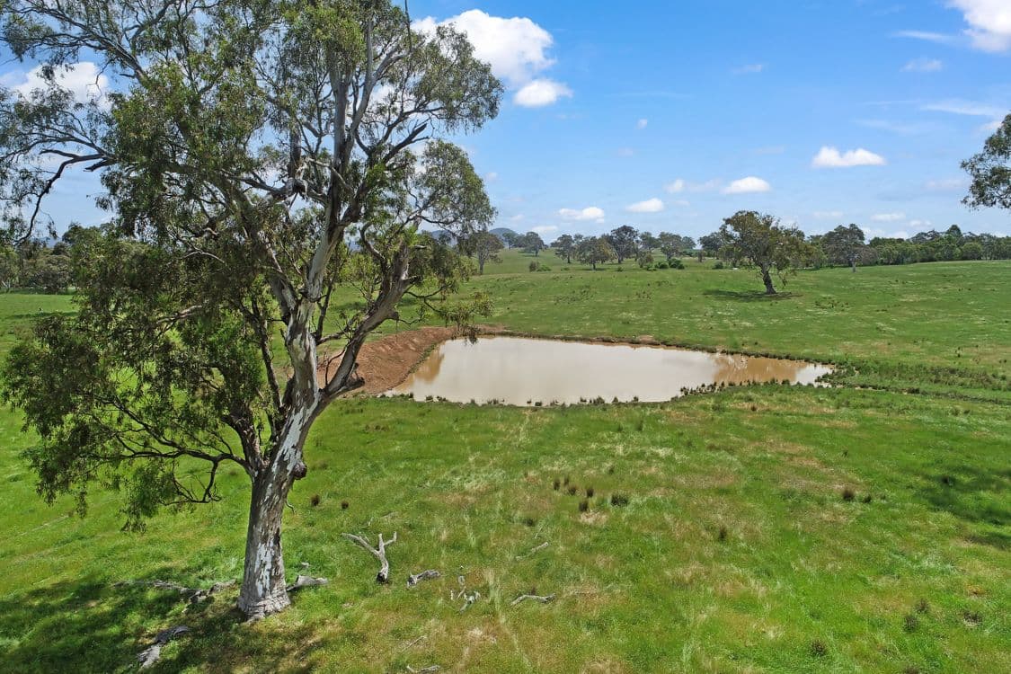3 Carlisle Hill Road, MANSFIELD, VIC 3722, Mansfield - Thumbnail 6
