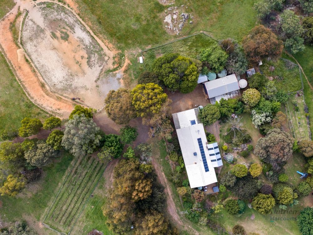 95 Watkins Road, CREEK JUNCTION, VIC 3669, Creek Junction - Thumbnail 2