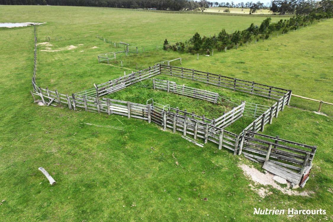 Lot2/LP122970 Hyland Highway, WON WRON, VIC 3971, Won Wron - Thumbnail 3