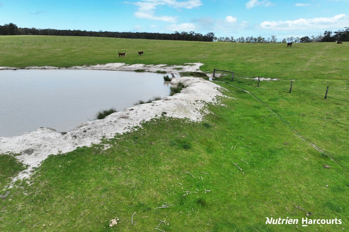 Lot2/LP122970 Hyland Highway, WON WRON, VIC 3971, Won Wron - Thumbnail 5