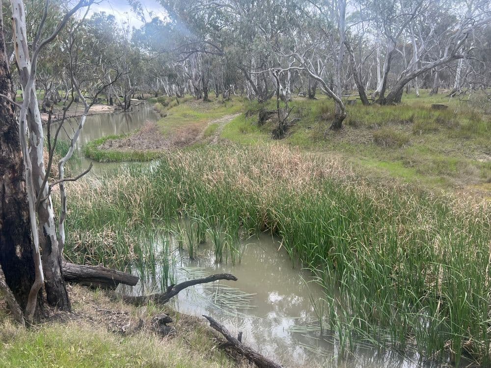 1/ Lanes Avenue, QUANTONG, VIC 3401, Quantong - Thumbnail 3