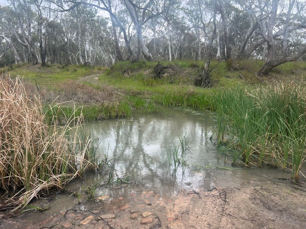 1/ Lanes Avenue, QUANTONG, VIC 3401, Quantong - Thumbnail 4