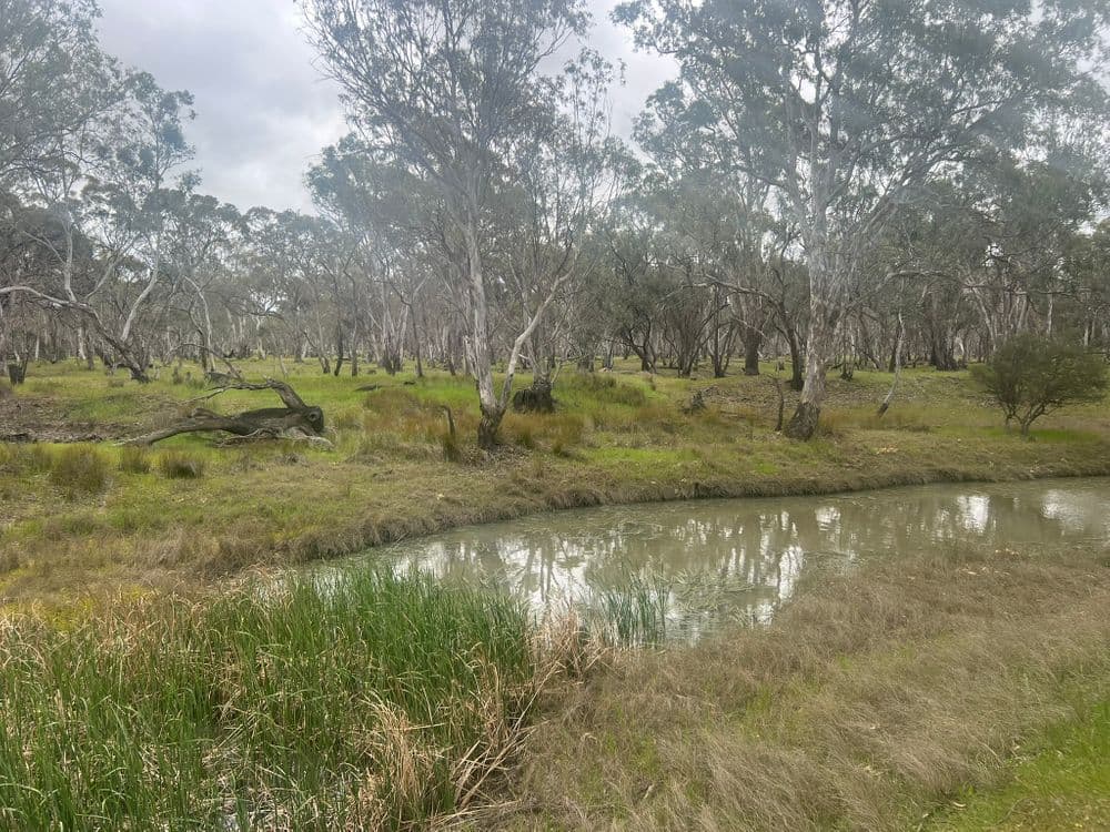 1/ Lanes Avenue, QUANTONG, VIC 3401, Quantong - Thumbnail 6