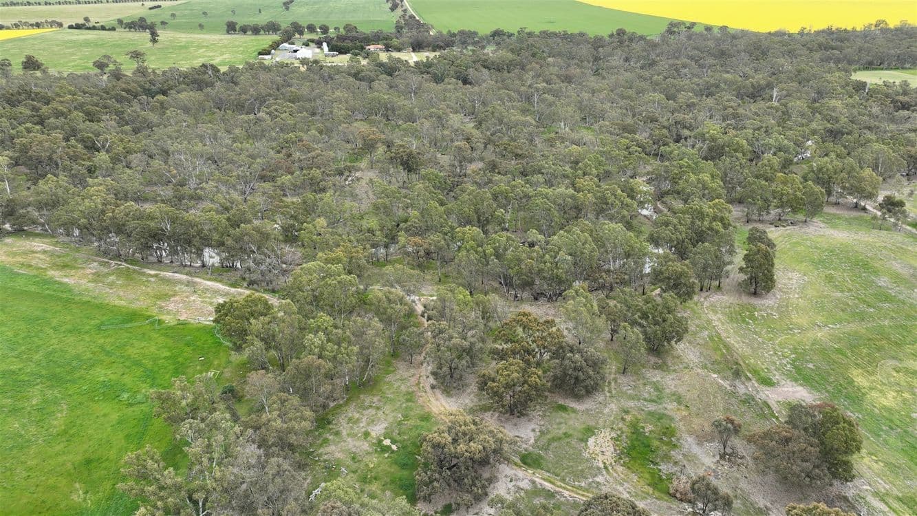 1/ Lanes Avenue, QUANTONG, VIC 3401, Quantong - Thumbnail 8