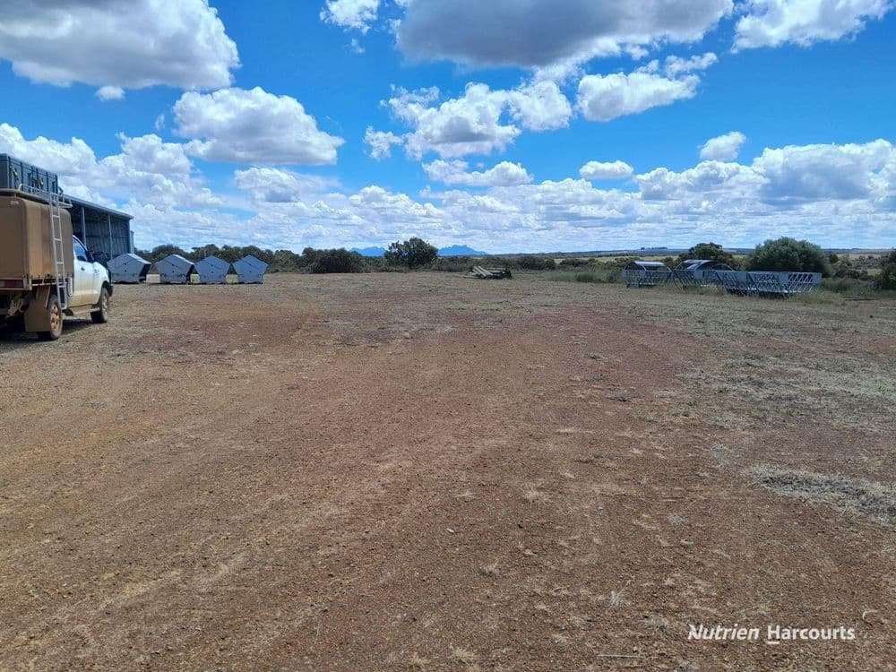 961 Cape Riche Road, WELLSTEAD, WA 6328, Wellstead - Thumbnail 2