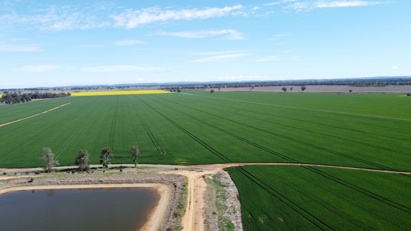 92 Millers Lane, PARKES, NSW 2870, Tichborne - Thumbnail 3