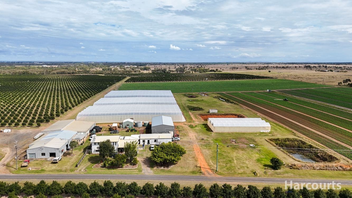 106 Sheehans Road, CALAVOS, QLD 4670, Calavos - Thumbnail 3