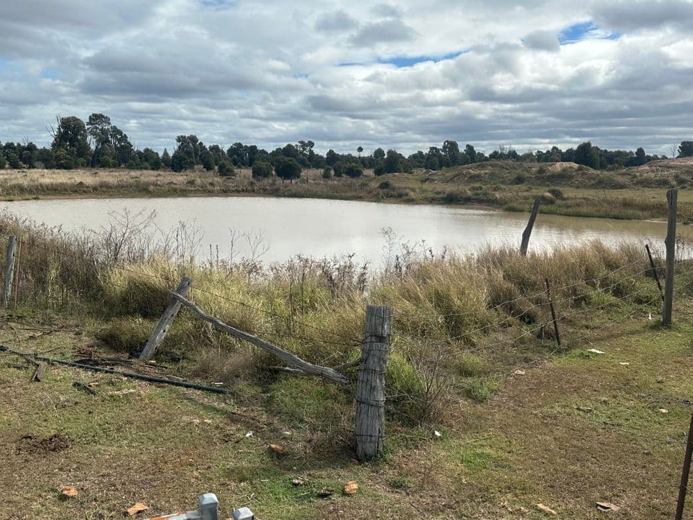 7850 Chinchilla Wondai Rd, DURONG, QLD 4610, Durong - Thumbnail 5