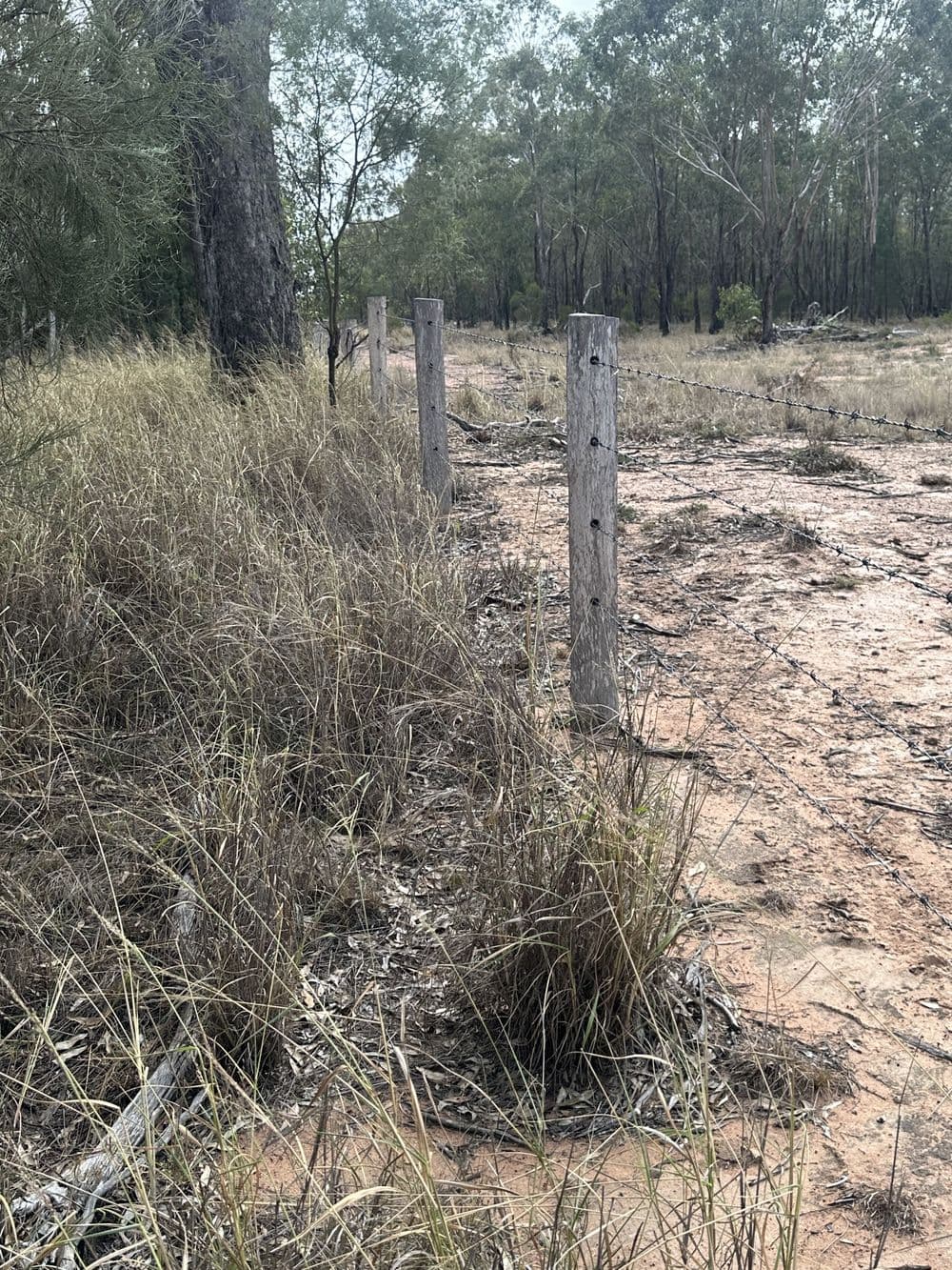 7850 Chinchilla Wondai Rd, DURONG, QLD 4610, Durong - Thumbnail 6