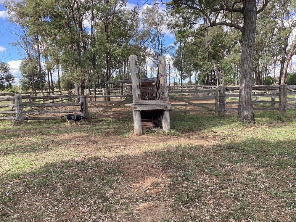 7850 Chinchilla Wondai Rd, DURONG, QLD 4610, Durong - Thumbnail 7