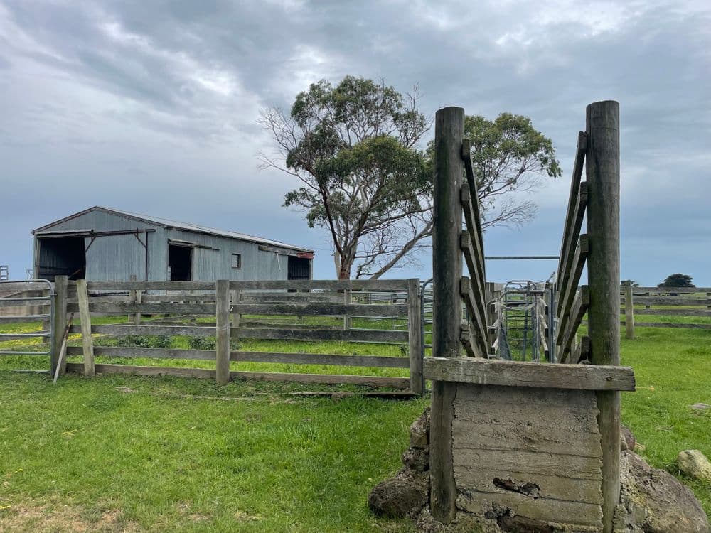 1050 Spencer Road, TARRONE, VIC 3283, Tarrone - Thumbnail 2