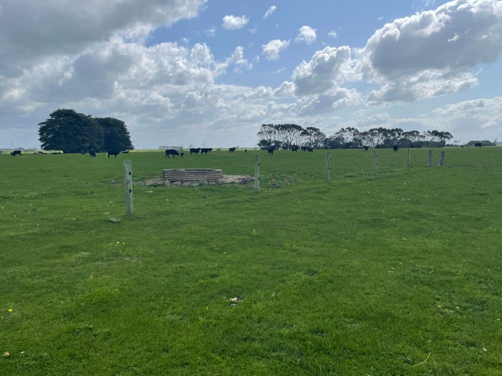 1050 Spencer Road, TARRONE, VIC 3283, Tarrone - Thumbnail 5