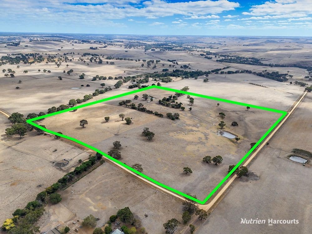 138 Mcconachys Road, HENTY, VIC 3312, Henty - Thumbnail 2