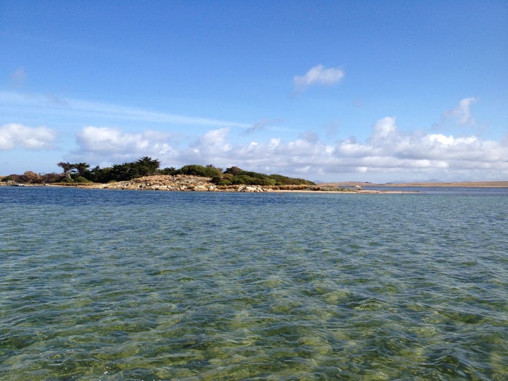 . Puncheon Island, LADY BARRON, TAS 7255, Lady Barron - Thumbnail 5