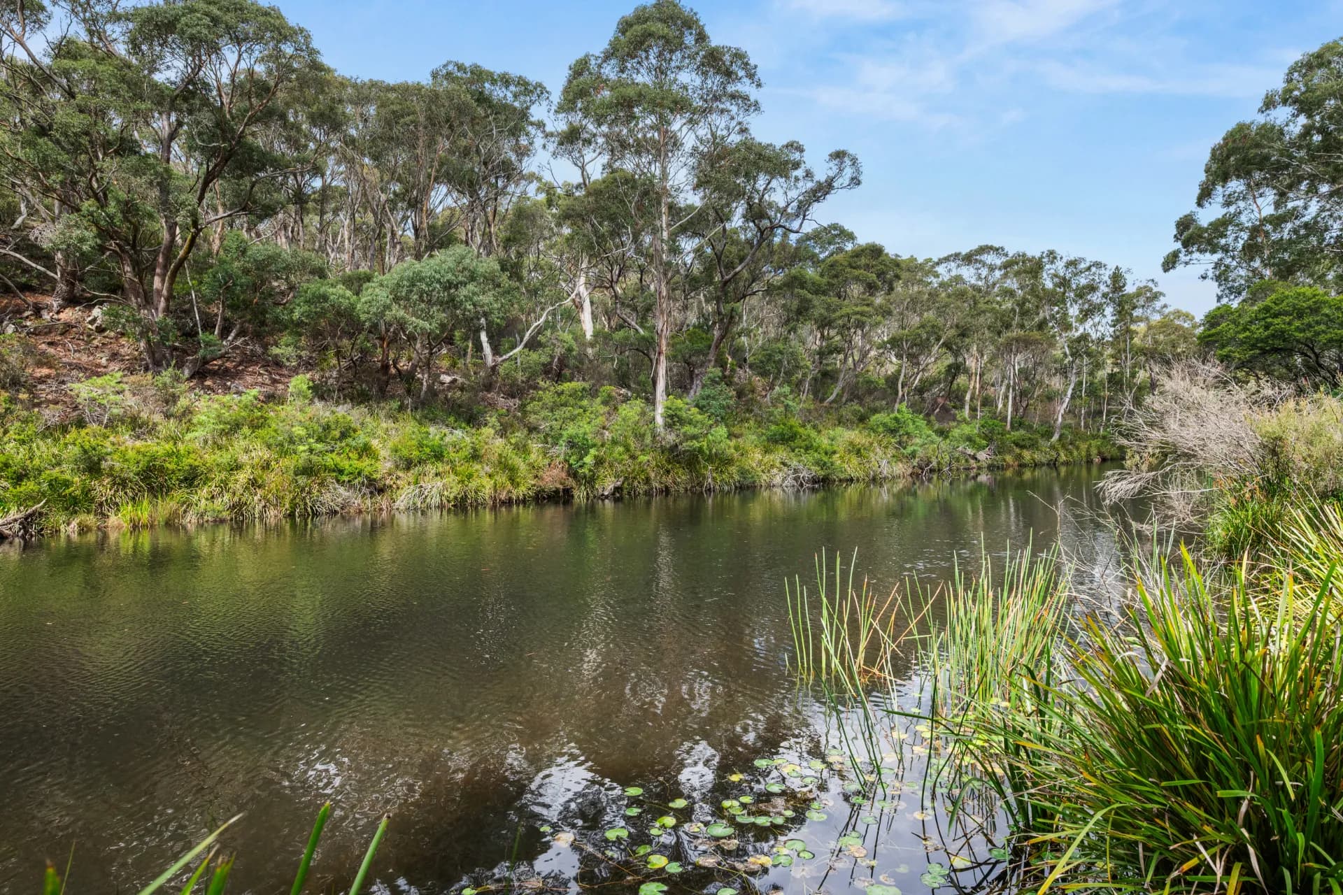 147 Webbs Road, Braidwood, NSW, Mongarlowe - Thumbnail 2