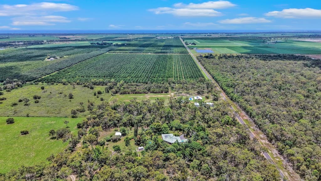 286 Vecellios Road, Moorland, QLD, 4670, Moorland - Thumbnail 3