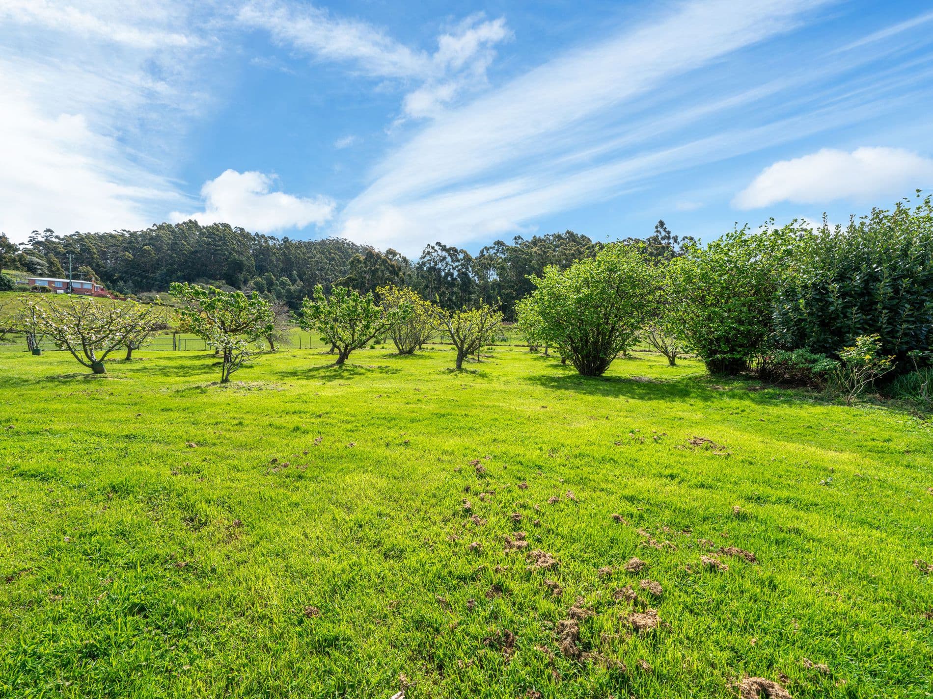 30 Coxs Road, MIDDLETON TAS, Middleton - Thumbnail 3