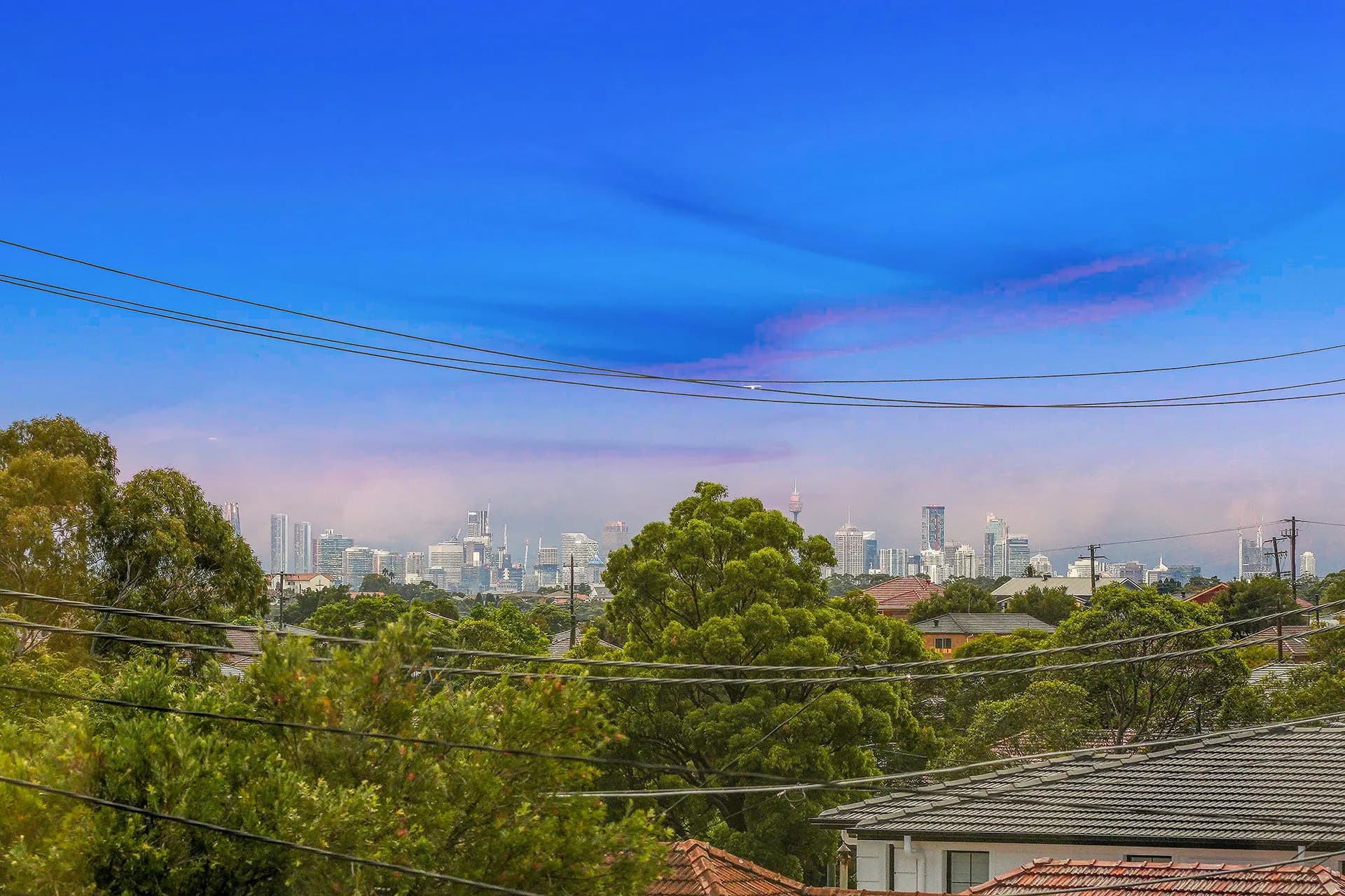 388 Kingsgrove Road, Kingsgrove, NSW, Kingsgrove - Thumbnail 7